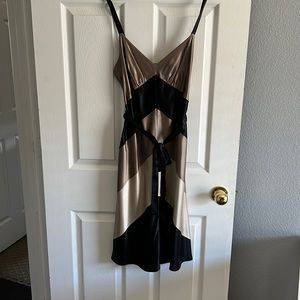 BCBG Slip Dress